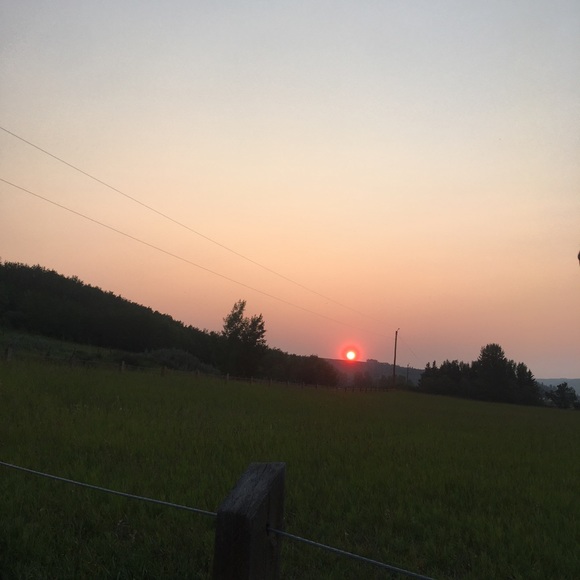 Meet your Posher, Erika - Picture 1 of 1